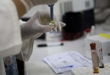 Francia: Primer caso de zika transmitido vía sexual