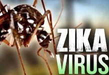 Científicos panameños realizarán estudio sobre el virus del Zika