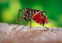Islas Vírgenes reportan primer caso de zika