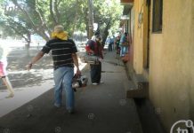 Lucha contra el mosquito no se detiene