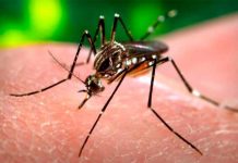Crece en México número de enfermos por virus de Zika