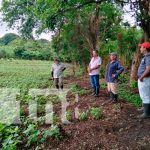 nicaragua, isla de ometepe, bono, frijol,