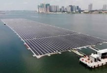 ciencia, singapur, plantas flotantes, energia solar, superficie