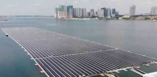ciencia, singapur, plantas flotantes, energia solar, superficie