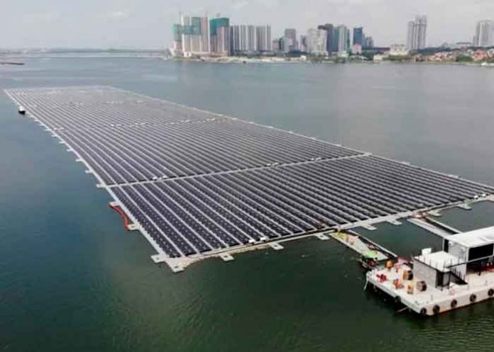 ciencia, singapur, plantas flotantes, energia solar, superficie