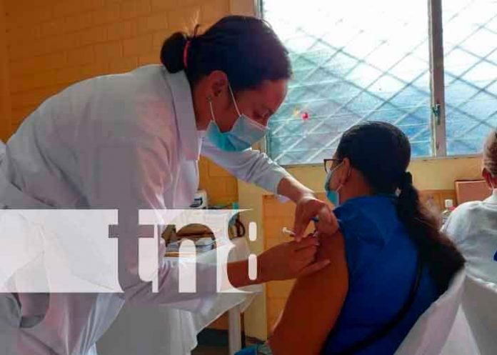 1 nicaragua, informe covid-19, minsa, pacientes, recuperados