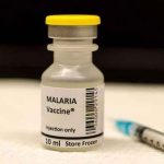 Nueva vacuna contra la malaria usando ARN mensajero salud, vacuna, malaria, biontech, estudio