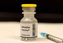 salud, vacuna, malaria, biontech, estudio