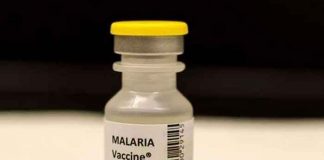 salud, vacuna, malaria, biontech, estudio