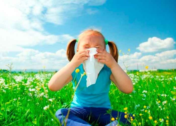 salud, dia mundial, alergia, personas, sintomas