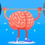 Hoy se celebra el Día Mundial del Cerebro El cerebro o "materia gris", como se le conoce comúnmente, es uno de los órganos vitales de nuestro cuerpo. Controla las actividades cognitivas