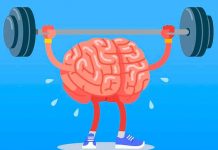 Hoy se celebra el Día Mundial del Cerebro El cerebro o "materia gris", como se le conoce comúnmente, es uno de los órganos vitales de nuestro cuerpo. Controla las actividades cognitivas