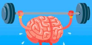 El cerebro o "materia gris", como se le conoce comúnmente, es uno de los órganos vitales de nuestro cuerpo. Controla las actividades cognitivas