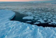 La Antártida registra nuevo récord de temperatura al alcanzar 18,3 ºC ciencia, antartida, altas temperaturas, deshielo, calentamiento
