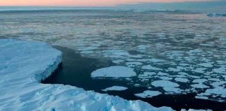 ciencia, antartida, altas temperaturas, deshielo, calentamiento