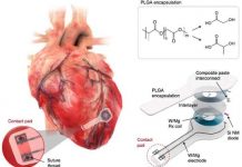 Investigadores crean el primer marcapasos sin cables ni baterías salud, ciencia, marcapasos transitorio, caracteristicas, novedades