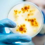 ciencia, virus, china, descubrimiento, estudio