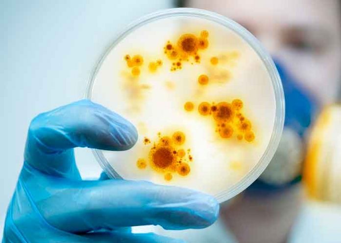 ciencia, virus, china, descubrimiento, estudio