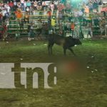 nicaragua, nandaime, toro, sucesos,