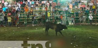 nicaragua, nandaime, toro, sucesos,