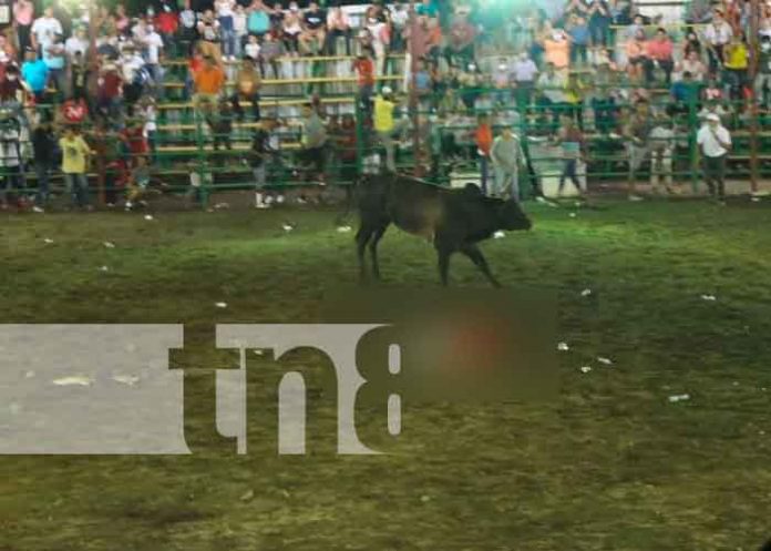 nicaragua, nandaime, toro, sucesos,