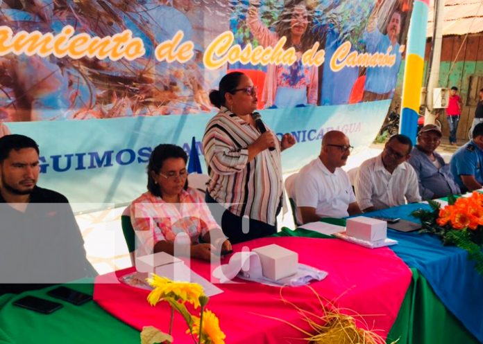 2 nicaragua, chinandega, camarón,