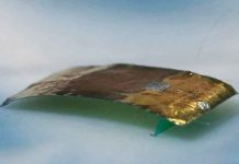 Crean un ‘robot-cucaracha’ que resiste un pisotón humano ciencia, robot cucaracha, caracteristicas, ingenieros, creacion