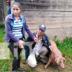 Mujeres protagonistas reciben bonos de cerdas en Bluefields nicaragua, Bluefields, bonos, cerdas, mujeres,