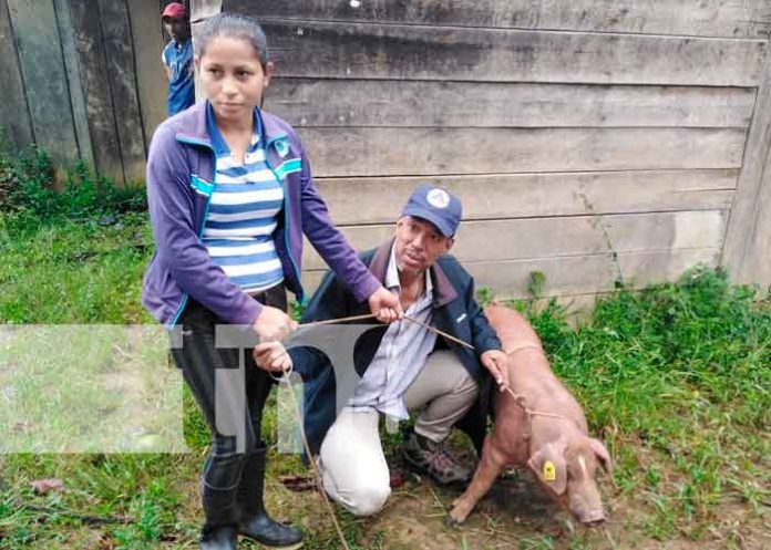 3 nicaragua, Bluefields, bonos, cerdas, mujeres,