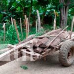 Menor de edad pierde la vida al caer de una carreta en Tola nicaragua, rivas, accidente de transito, muerto,