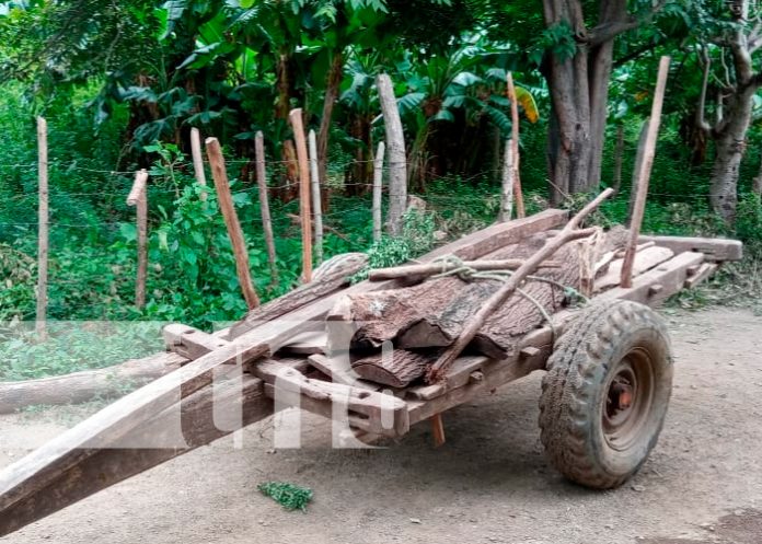 nicaragua, rivas, accidente de transito, muerto,