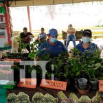 Realizan tercera edición del «Certamen Nacional de Innovación» nicaragua, Bluefields, innovación,