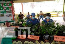 Realizan tercera edición del «Certamen Nacional de Innovación» nicaragua, Bluefields, innovación,