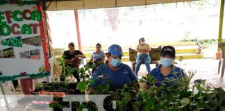 nicaragua, Bluefields, innovación,
