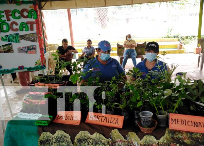 nicaragua, Bluefields, innovación,