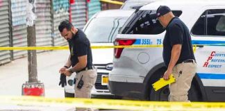 estados unidos, armas, tiroteos, criminalidad,