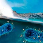 ciencia, descubrimiento, virus gigantes, especies, china