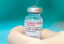 Vacuna Moderna demuestra alta eficacia contra las variantes Alfa y Beta salud, vacuna moderna, coronavirus, eficacia, variantes
