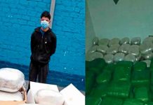 Perú: Policía decomisa 280 kilos de marihuana en dos operativos americalatina, peru, marihuana, incautacion, policia