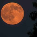 ciencia, fenomenos astronomicos, luna llena ciervo, nativos, visualizacion