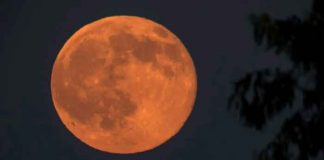 ciencia, fenomenos astronomicos, luna llena ciervo, nativos, visualizacion