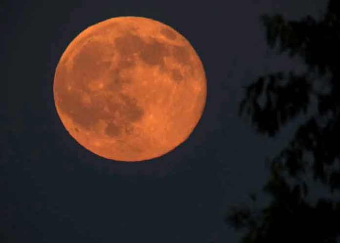 ciencia, fenomenos astronomicos, luna llena ciervo, nativos, visualizacion