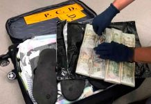 Caen 4 mexicanos en Costa Rica con ¢75 millones en maleta costa rica, mexicanos, detencion, autoridades, dinero, maletas,