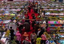 egipto, el cairo, feria, libro, inicio,