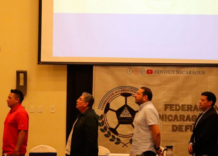 liga, ascenso, fenifut, futbol,