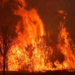 Brasil, mato grosso, incendios, medio ambiente,