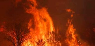 Brasil, mato grosso, incendios, medio ambiente,