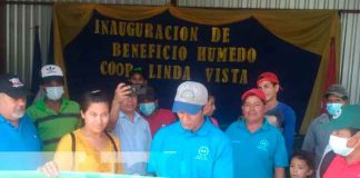 Foto: Beneficio Húmedo fue inaugurado por el MEFCCA en Jinotega/TN8