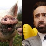 Críticos alaban a Nicolas Cage y su «transformación como un cerdo» en Pig