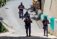 Magnicidio: Policía de Haití arresta a otros dos colombianos haiti, policia, magnicidio, detencion, dos colombianos,